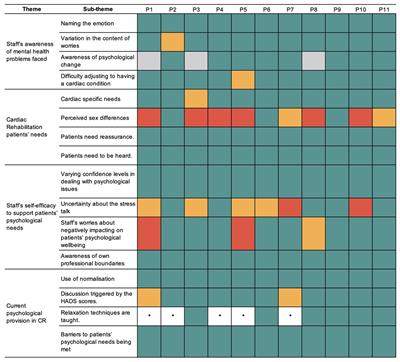 Cardiac Rehabilitation practitioners’ views on patients’ psychological needs: a qualitative study